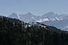 img_2939.jpg