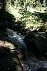 img_2945.jpg
