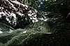 img_2948.jpg