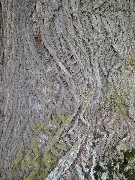 L1020649.JPG