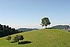 IMG_4038.JPG