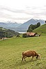 IMG_4163.JPG