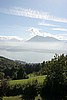 IMG_4224.JPG