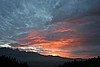 IMG_4225.JPG