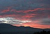IMG_4228.JPG