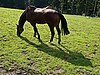 L1020530.JPG