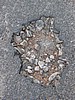 L1020570.JPG