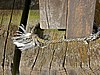 L1020673.JPG