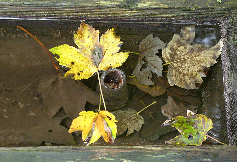 L1040443.jpg