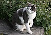 IMG_6131.jpg