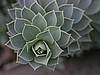 IMG_6216.jpg