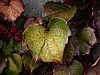 L1040418.jpg