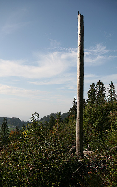 IMG_8691.jpg
