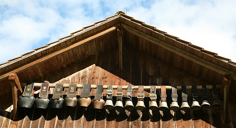IMG_8755.jpg