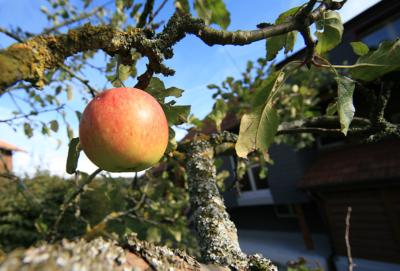IMG_8852.jpg