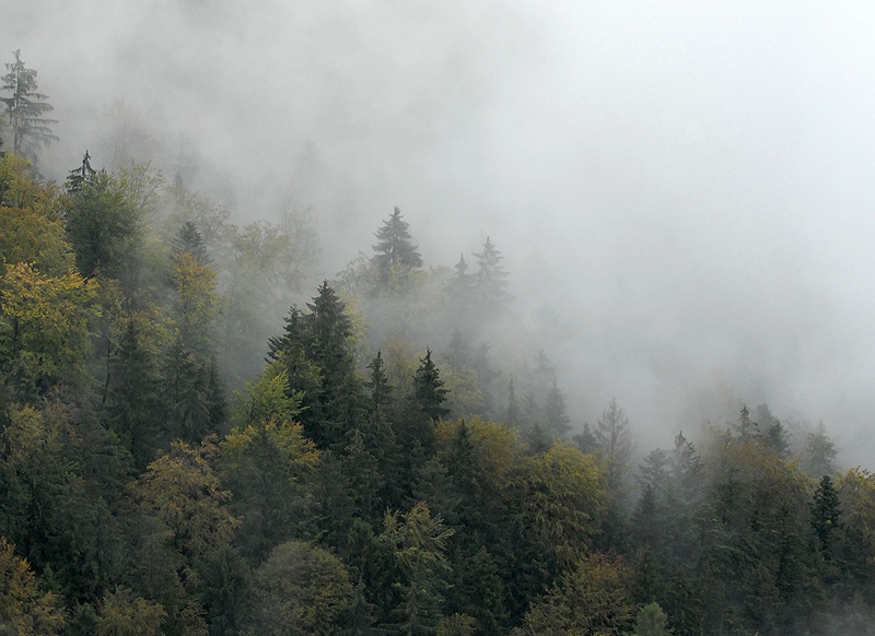 _DSC4081.jpg