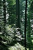 IMG_8660.jpg