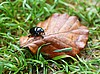 IMG_8663.jpg