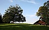 IMG_8700.jpg