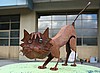 IMG_8761.jpg
