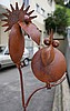 IMG_8762.jpg