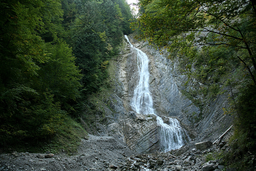 IMG_9539