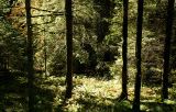 _MG_0336