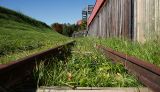 _MG_0340