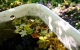 _MG_0352